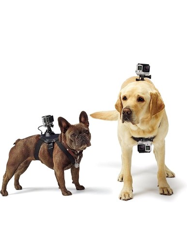 Gopro accessori fetch - gopro,