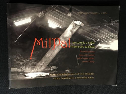 Milpa semilla salsa - milpa,