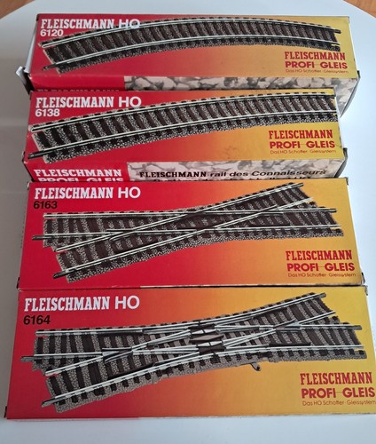 Fleischmann binario