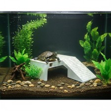 Piattaforma per Tartarughe con