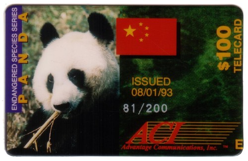 Panda gigante endangered - panda,