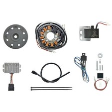 Accensione magnetica luminosa 12V 100W DC - adatto per DKW NZ350-1 con motore in ghisa