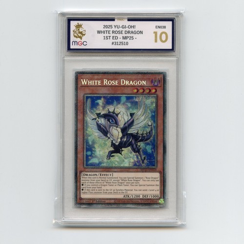 Mgc white rose - mgc, dragon