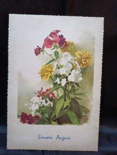 Cartoline bonelli 1954 - cartoline,