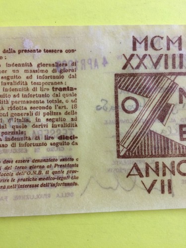 MILITARIA_FASCISMO_ONB_AVANGUA