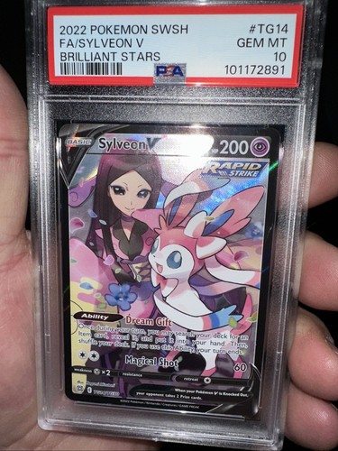 Pokemon swsh 2022 stelle - pokemon,