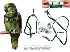 Pettorina elastica 8MM