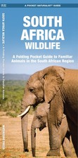 South africa wildlife nature - south, (nature
