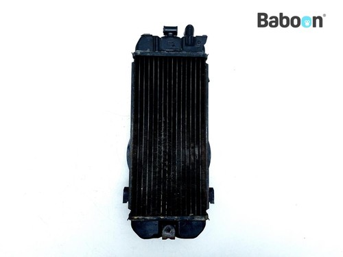 Radiatore honda 700 - vt, c