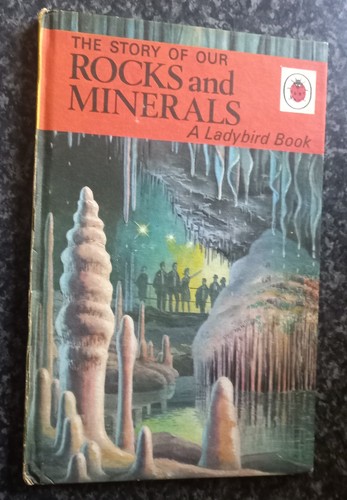 Ladybird book story - book,