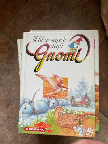 Libro segreto degli gnomi - il,