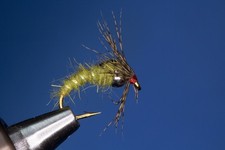 Fliegentom 3 pezzi Holy Grail