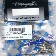 Kit raggi argento guida ruota