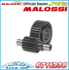 INGRANAGGI SECONDARI MALOSSI Z