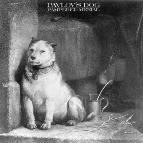 Pavlov dog pampered menial - pavlov's,