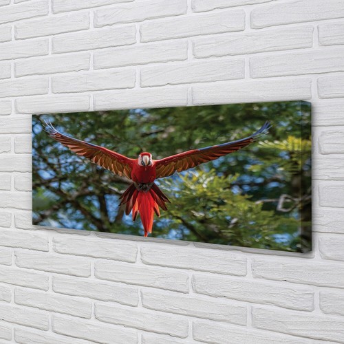 Quadro tela tulup 125x50 - su,