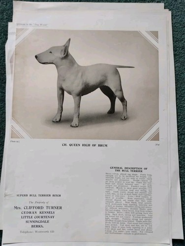 Sk44 ephemera 1932 - ephemera, picture