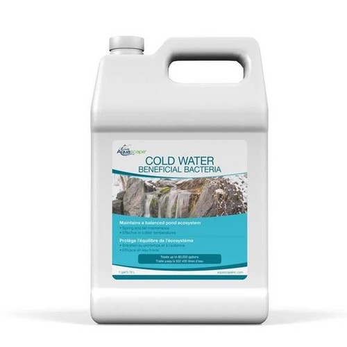 Aquascape stagno acqua - aquascape, fredda