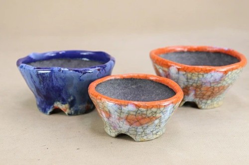 Vaso per bonsai giapponese