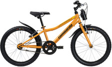 Bici Bicicletta Mountabike da