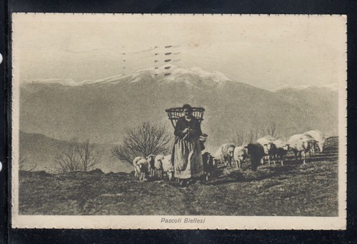 Cartolina pascoli biellesi - pascoli,