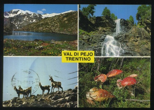 Val pejo trentino - val,