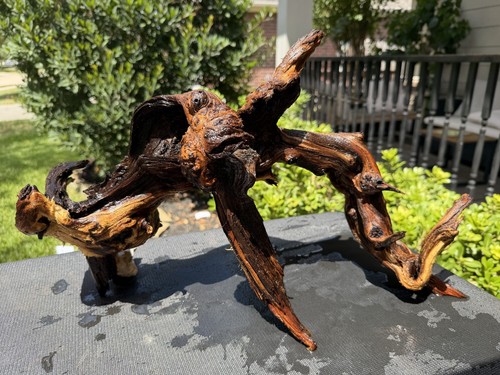 Driftwood mopani acquari pesci - mopani,