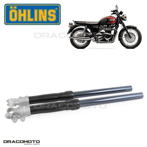 Triumph bonneville t100 - triumph,