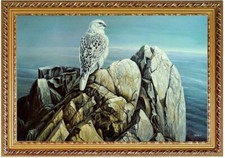 Quadro olio falco rapace in cima alla montagna, dipinto a mano olio, F:60 x 90 cm