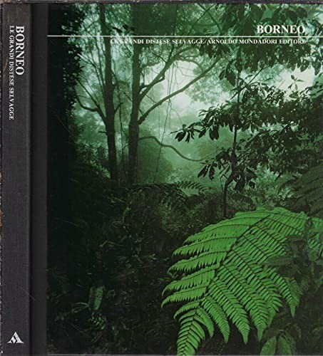 Mondadori grandi distese - le,