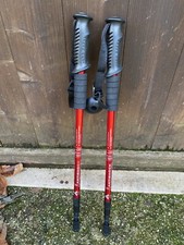 Bastoncini Trekking antishock