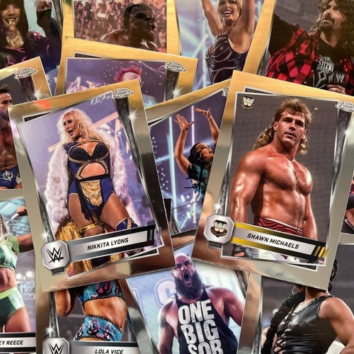Carte base wwe - wwe, chrome