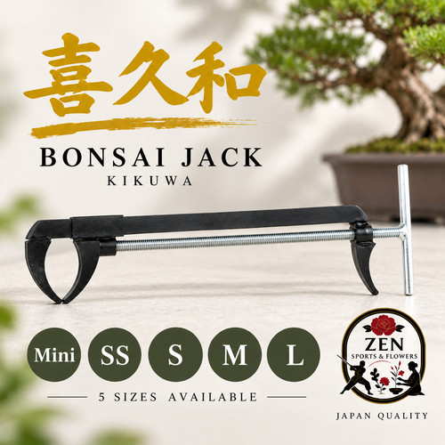 Kikuwa bonsai jack mini m - mini, ss