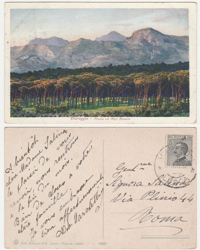 Viareggio lucca pineta ed - -,