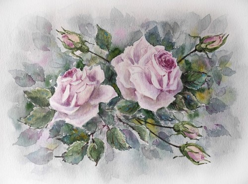 Fiori delicato blush rose - fiori,