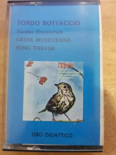 Musicassetta tordo bottaccio - tordo,