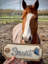 Targa da box per cavalli