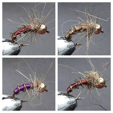 Ninfas testa de tungsteno - ,