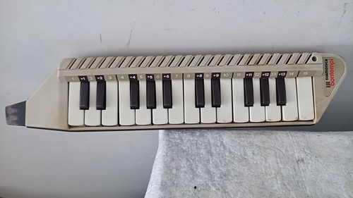 Bontempi diamonica vintage - bontempi,