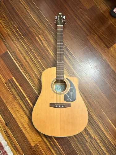 Chitarra elettroacustica - chitarra,