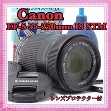 Excellent Canon EF-S 55-250 IS