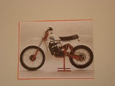 RITAGLIO DI GIORNALE 1981 MOTO