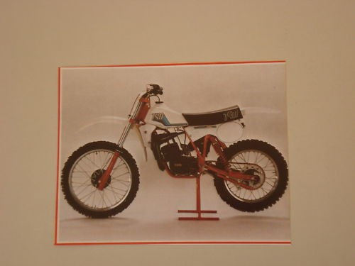 Ritaglio giornale 1981 moto - ritaglio,