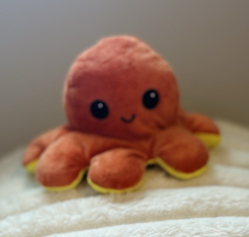 Teeturtle polpo reversibile - teeturtle,