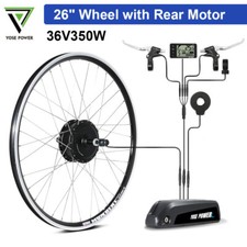 36V 26" Freewheel Ruota