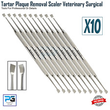 Raschietto denti rimozione