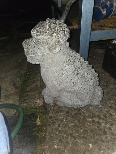Antico cane gaurda cinese - da,