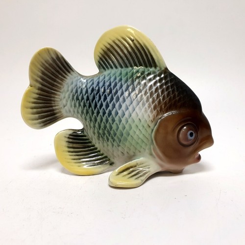 Pesce porcellana di - in,