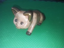 Raro Gatto Gattino Marrone Biscotto Amanti Animali