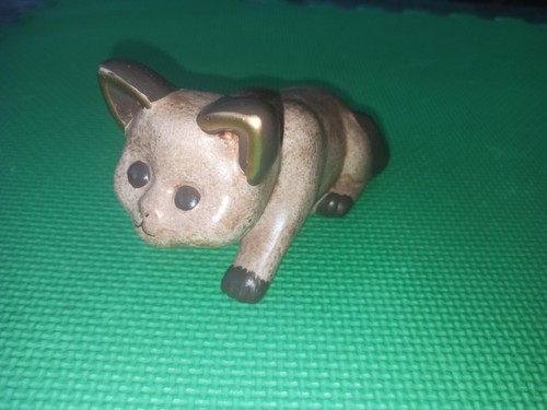 Raro gatto gattino marrone - gatto,